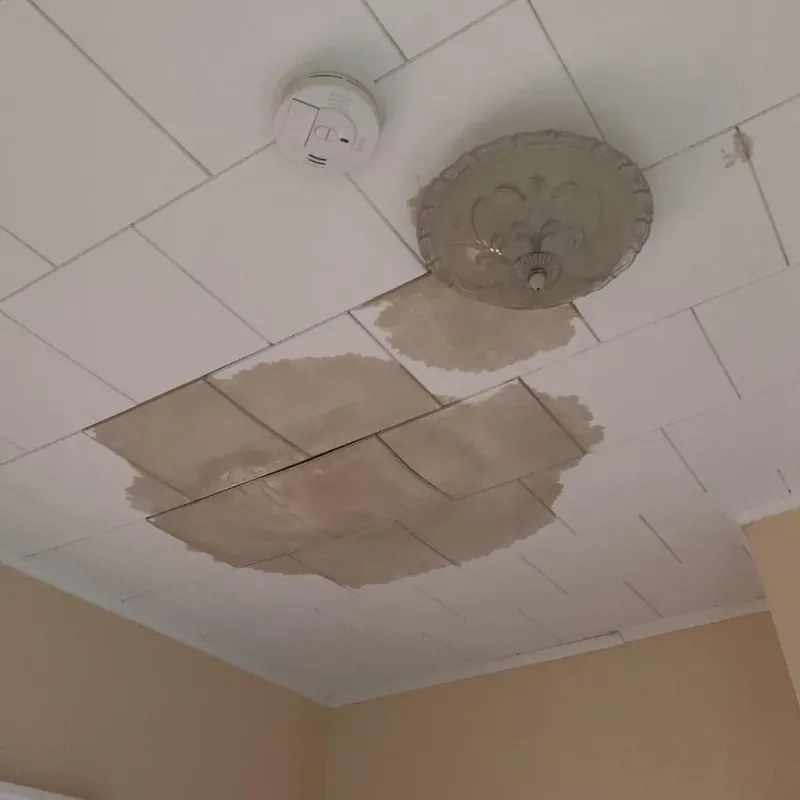 Ceiling Water Damage Repair in Brown County, KS