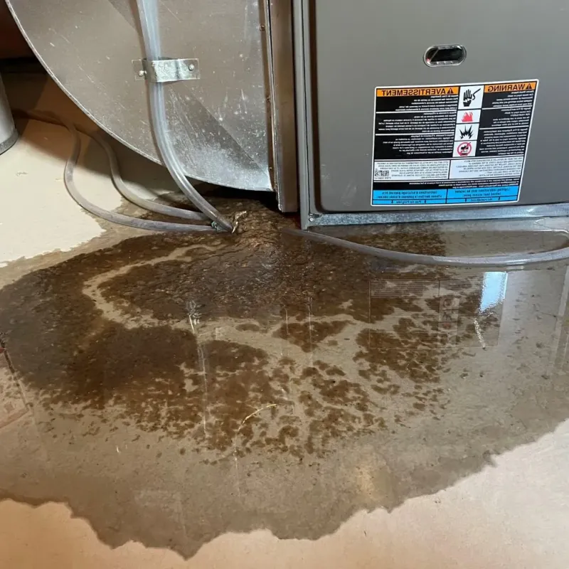 Pipe Burst and Leak Restoration in Brown County, KS